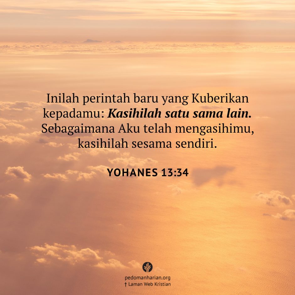 share_msodb_2026-02-15 share_msodb_2026-02-15