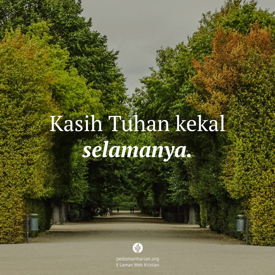 share_msodb_2026-02-14