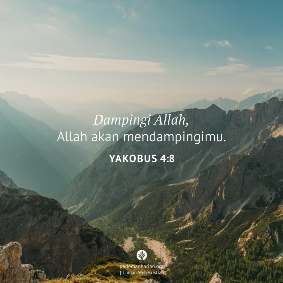 share_msodb_2026-02-13