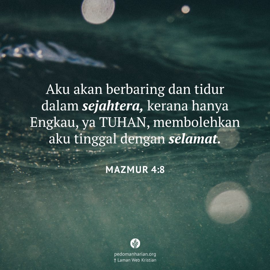 share_msodb_2026-02-12