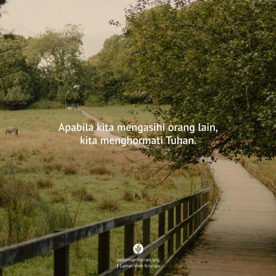 share_msodb_2026-02-11