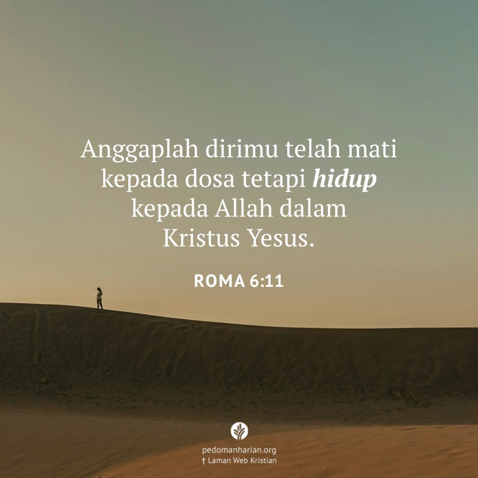 share_msodb_2026-02-10