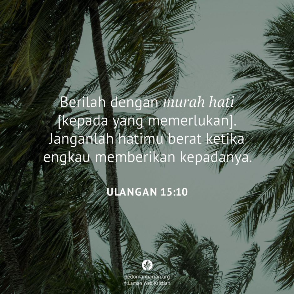 share_msodb_2026-02-08