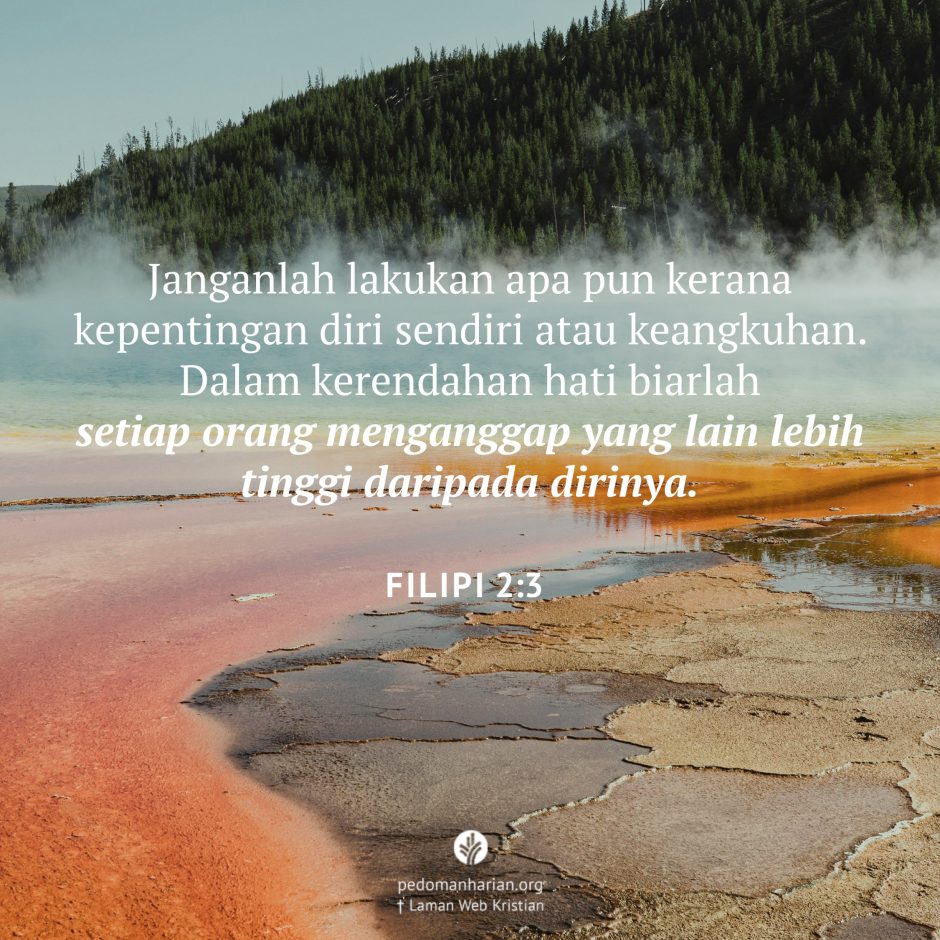 share_msodb_2026-02-07