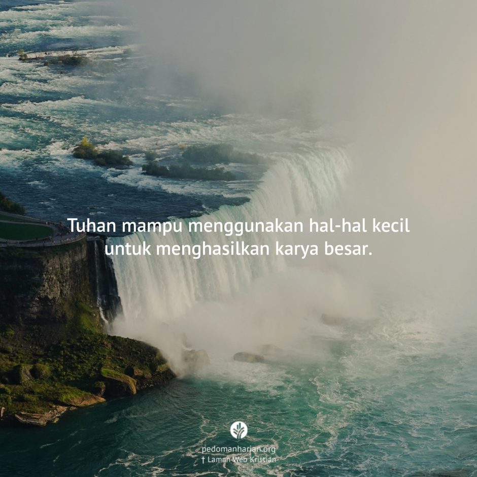 share_msodb_2026-02-06