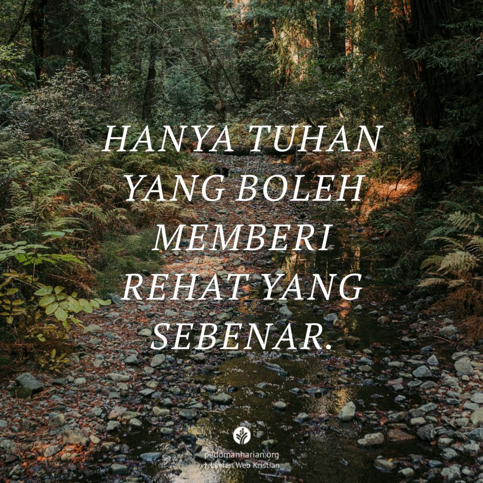 share_msodb_2026-02-05