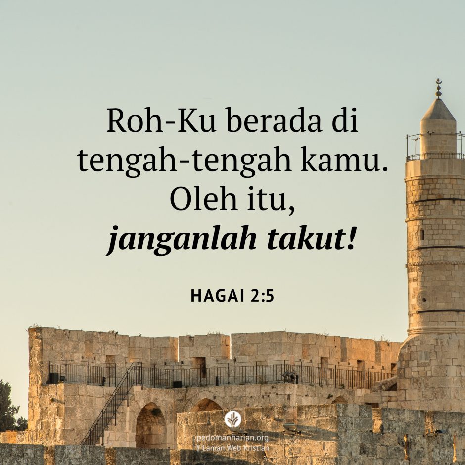 share_msodb_2026-02-03