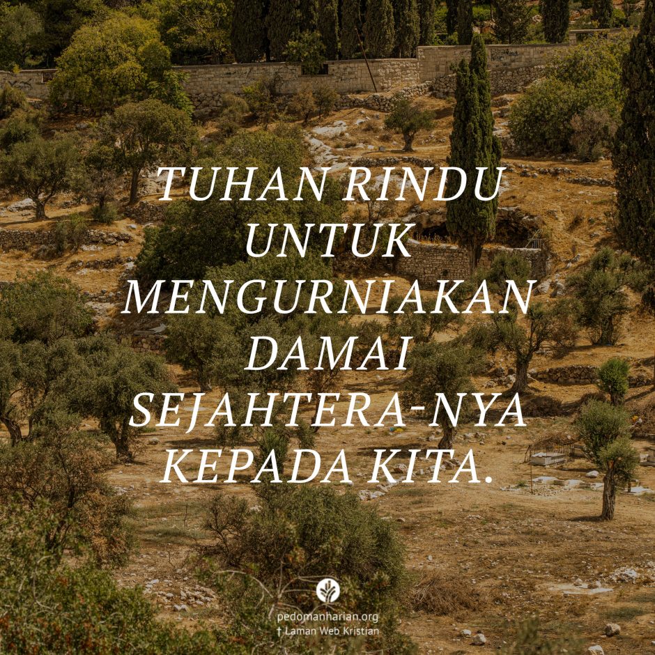 share_msodb_2026-03-29