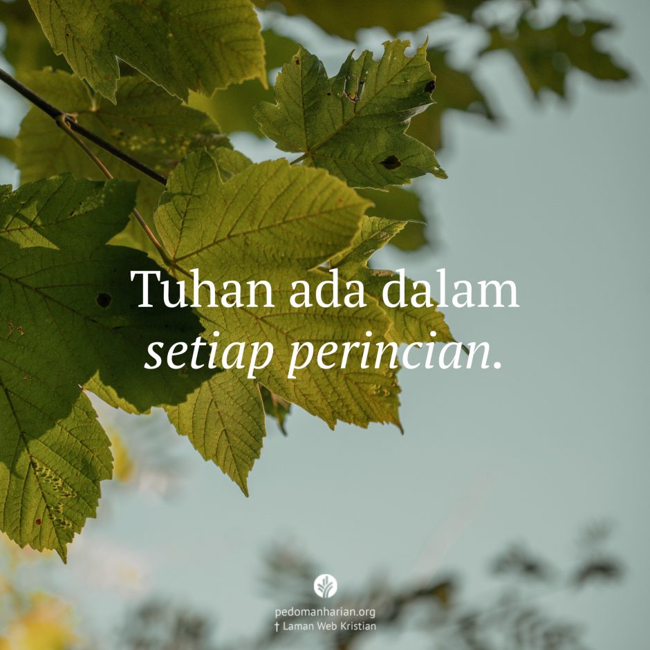 share_msodb_2026-03-27