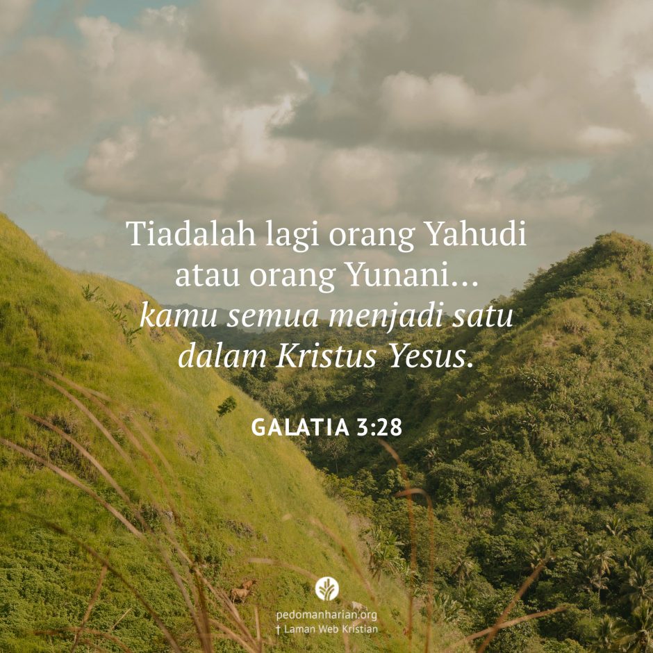 share_msodb_2026-03-25