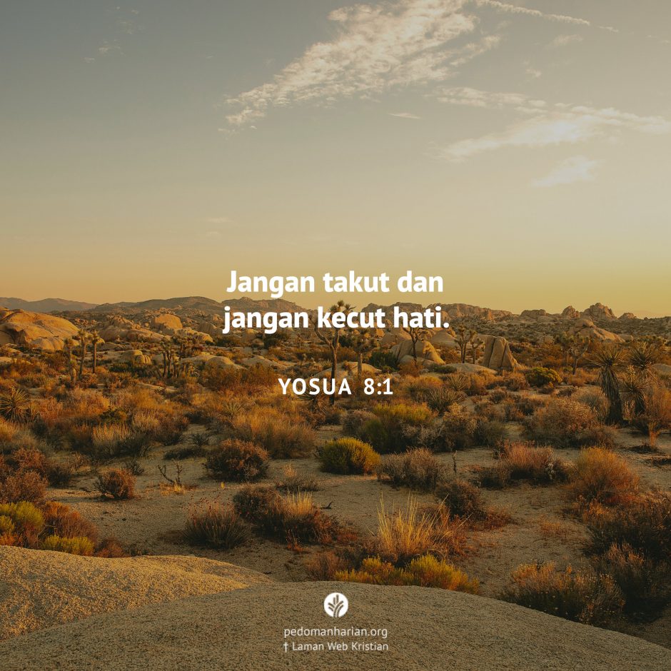 share_msodb_2026-03-24