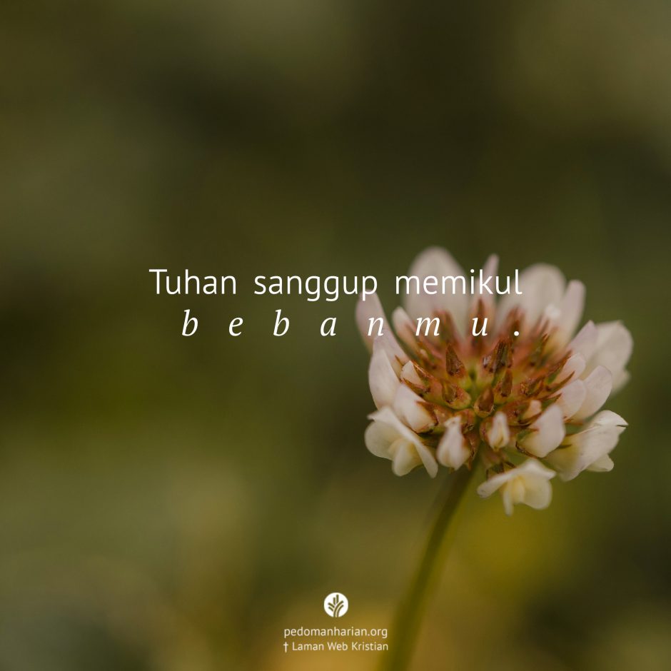 share_msodb_2026-03-21