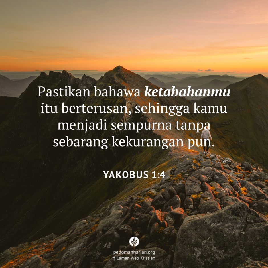 share_msodb_2026-03-19