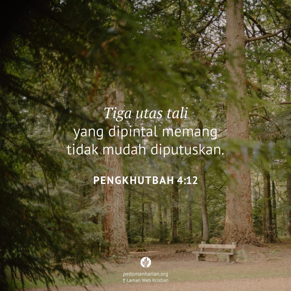 share_msodb_2026-03-18