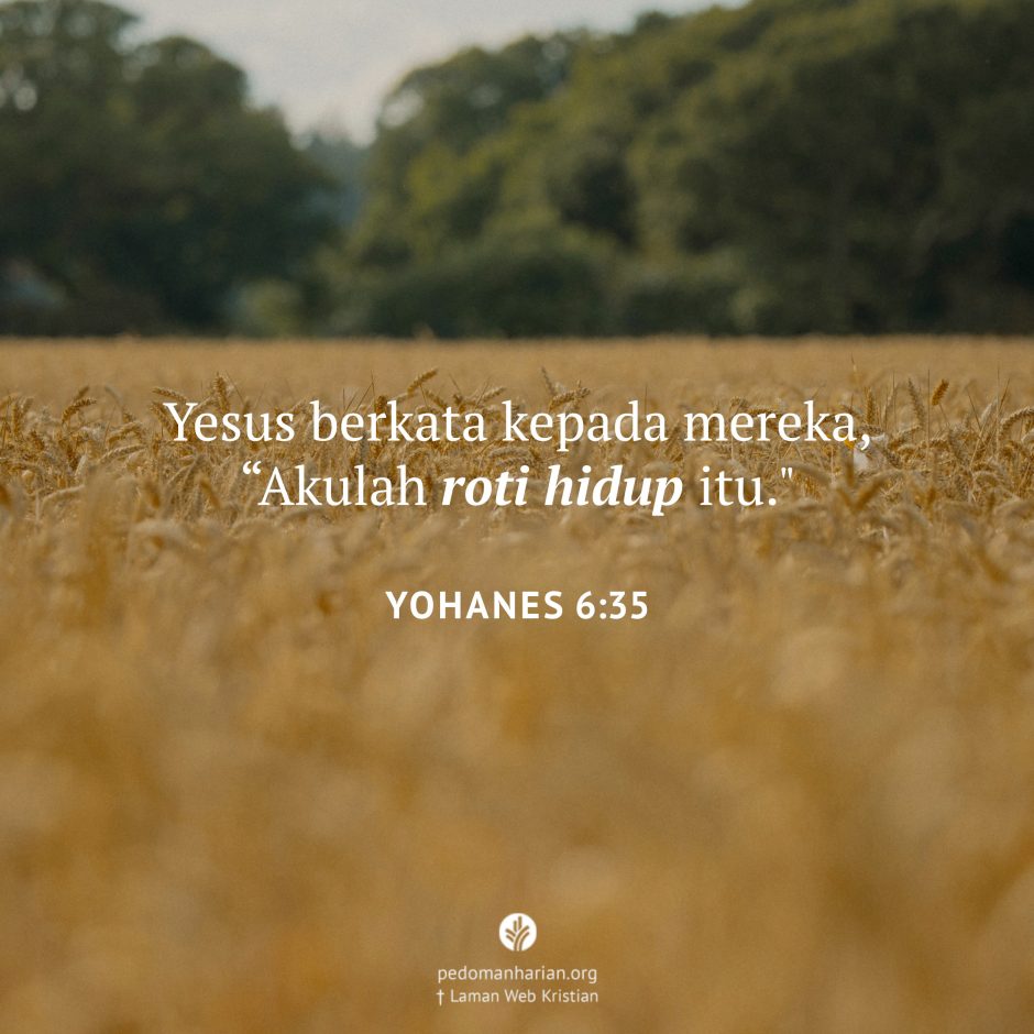 share_msodb_2026-03-17 share_msodb_2026-03-17