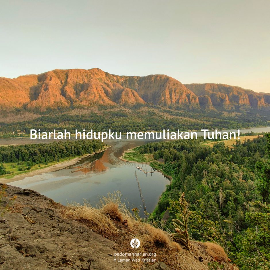 share_msodb_2026-03-16