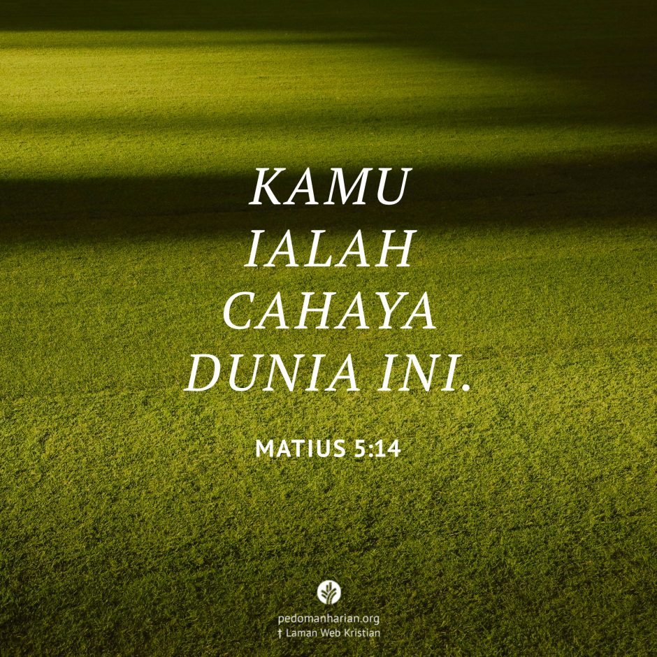 share_msodb_2026-03-15