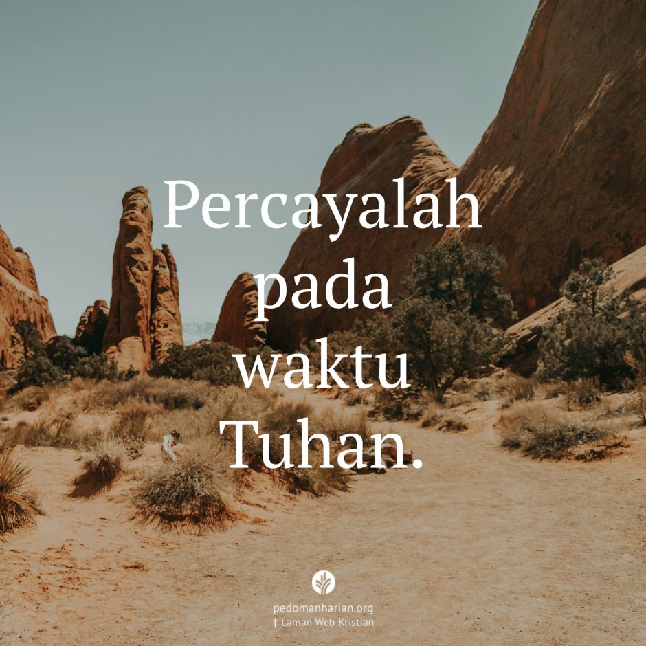 share_msodb_2026-03-14