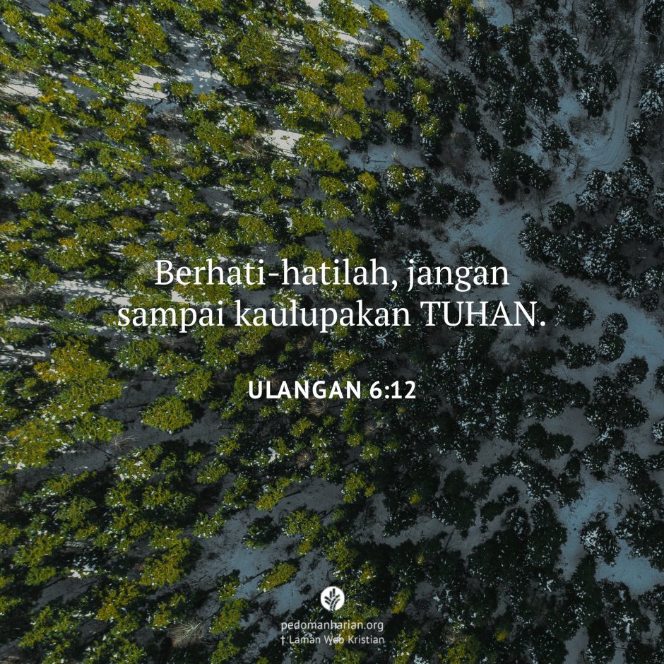 share_msodb_2026-03-06