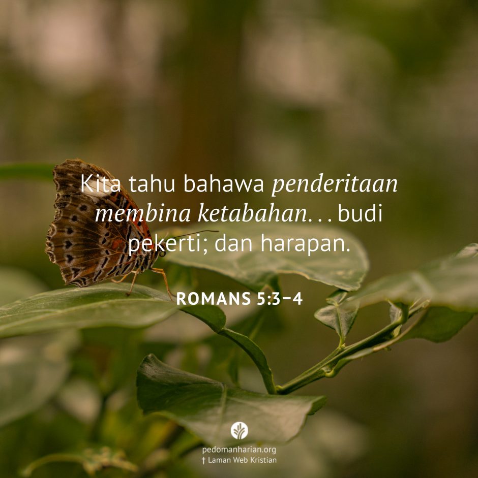 share_msodb_2026-03-05 share_msodb_2026-03-05