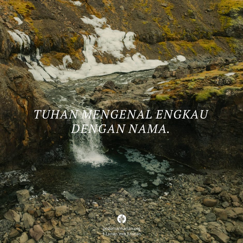 share_msodb_2026-03-04 share_msodb_2026-03-04