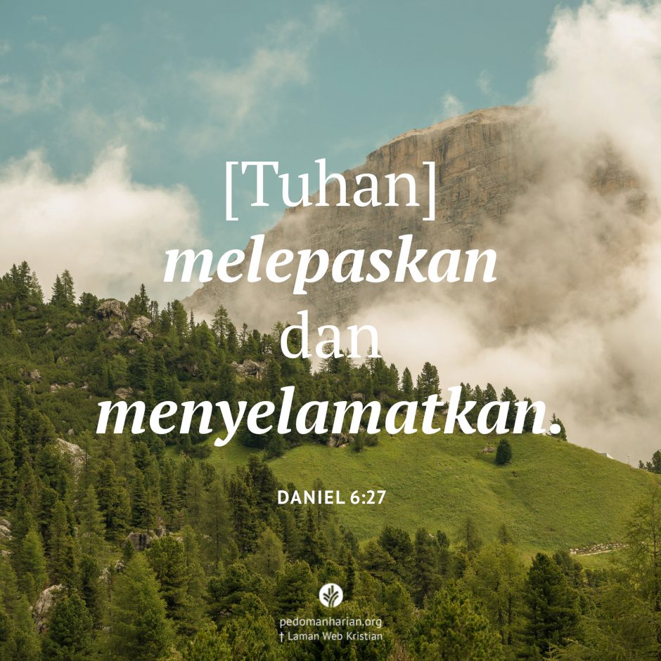 share_msodb_2026-03-03