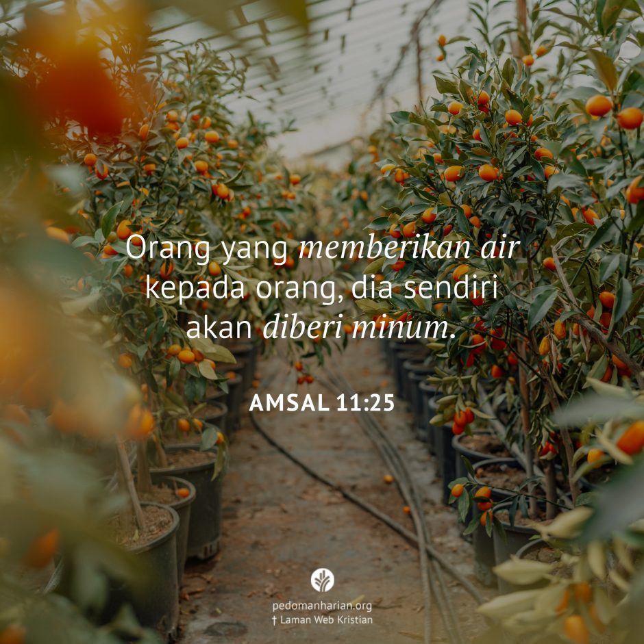 share_msodb_2026-03-02