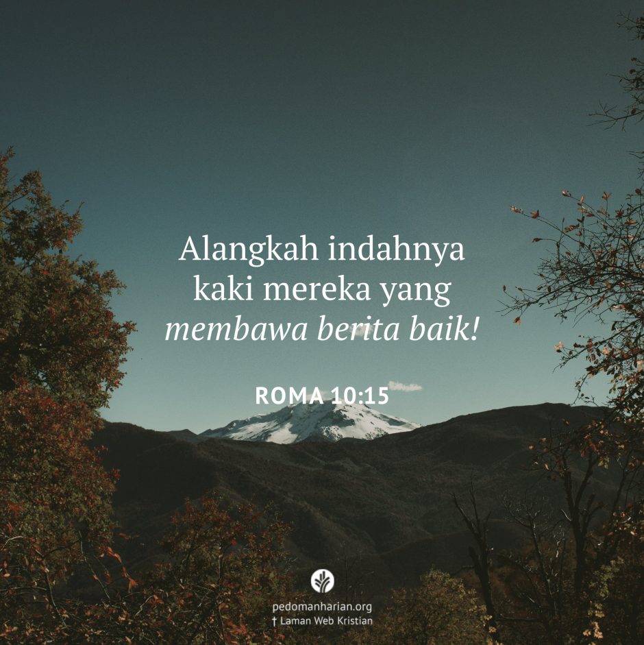 share_msodb_2026-03-01