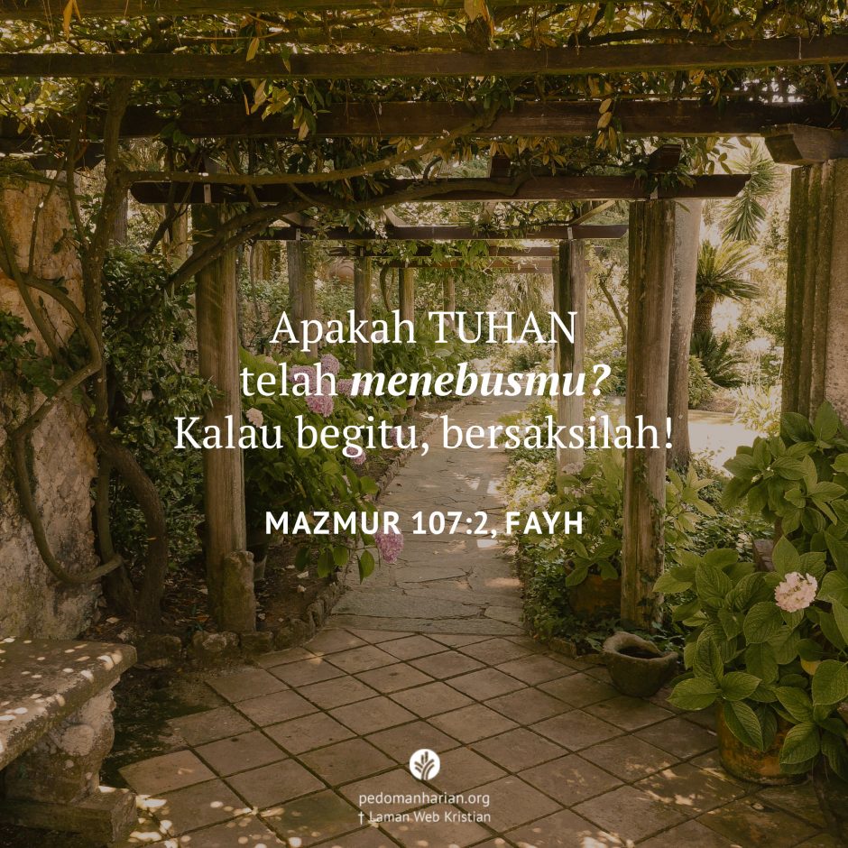 share_msodb_2026-03-08