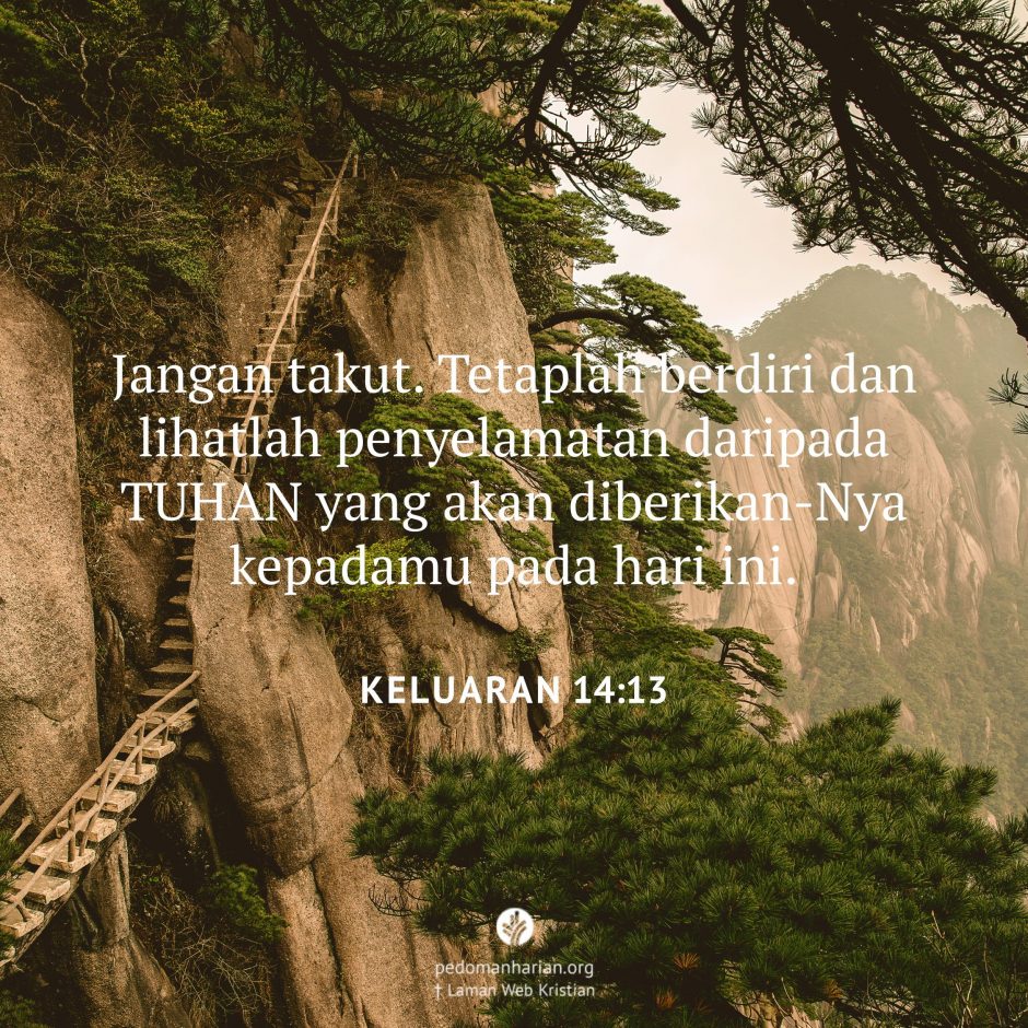 share_msodb_2026-03-31 share_msodb_2026-03-31