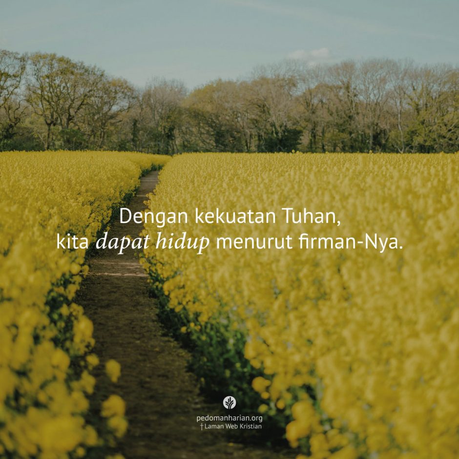 ms-odb-2026-04-07 ms-odb-2026-04-07