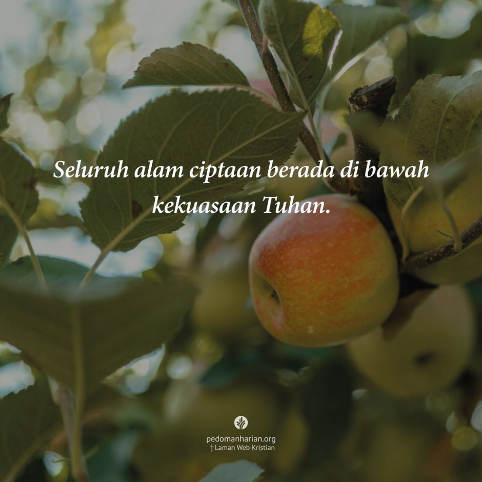 ms-odb-2026-04-14 ms-odb-2026-04-14