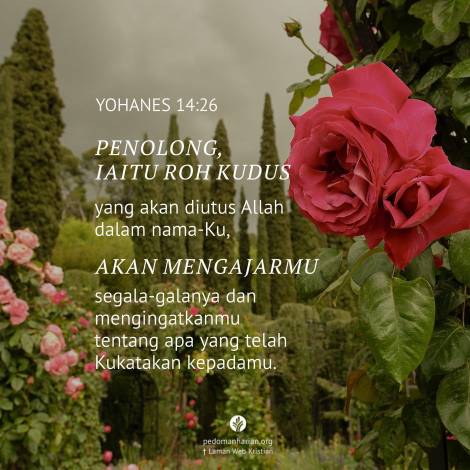 ms-odb-2026-05-24