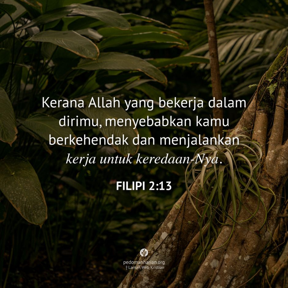 ms-odb-2026-06-02