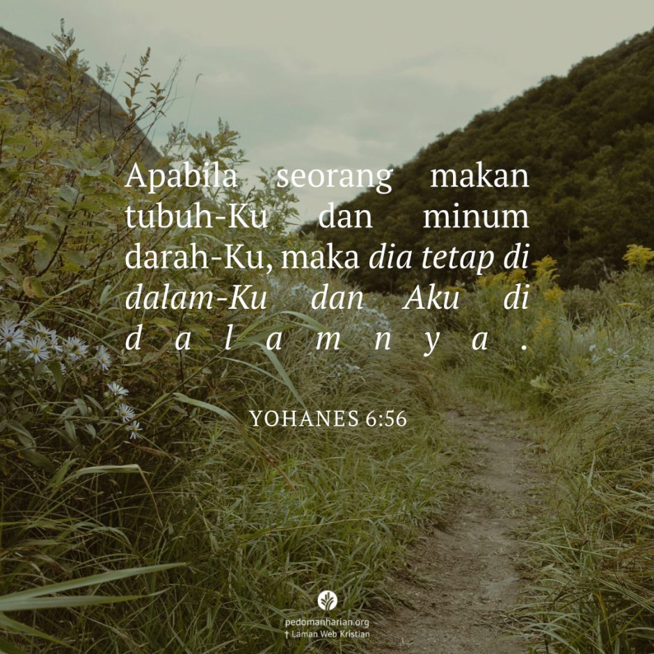 ms-odb-2026-07-01