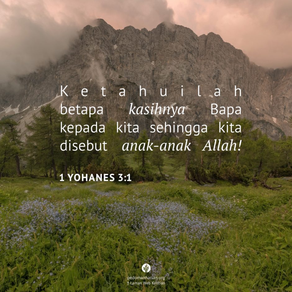 ms-odb-2026-07-05 ms-odb-2026-07-05
