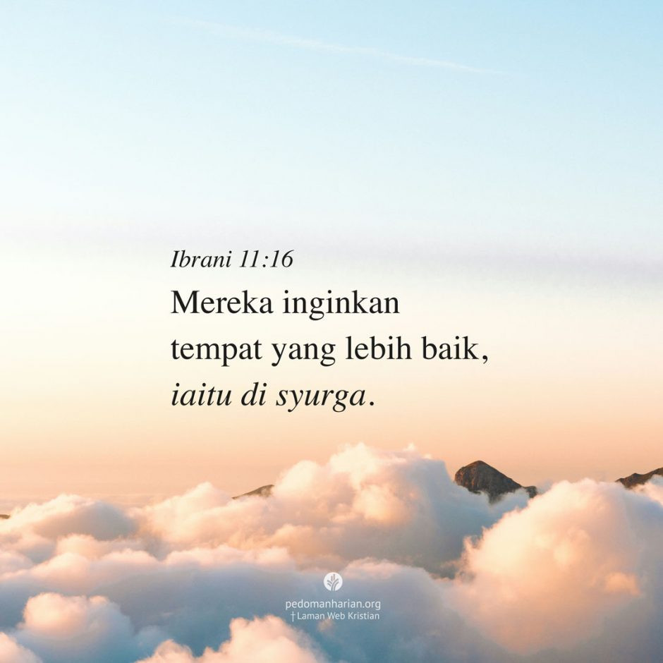 ms-odb-2026-08-01