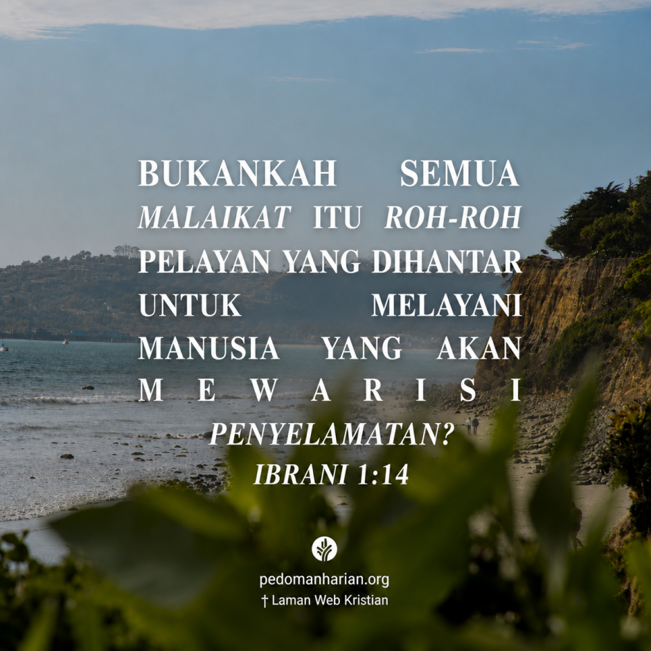 ms-odb-2026-08-04 ms-odb-2026-08-04