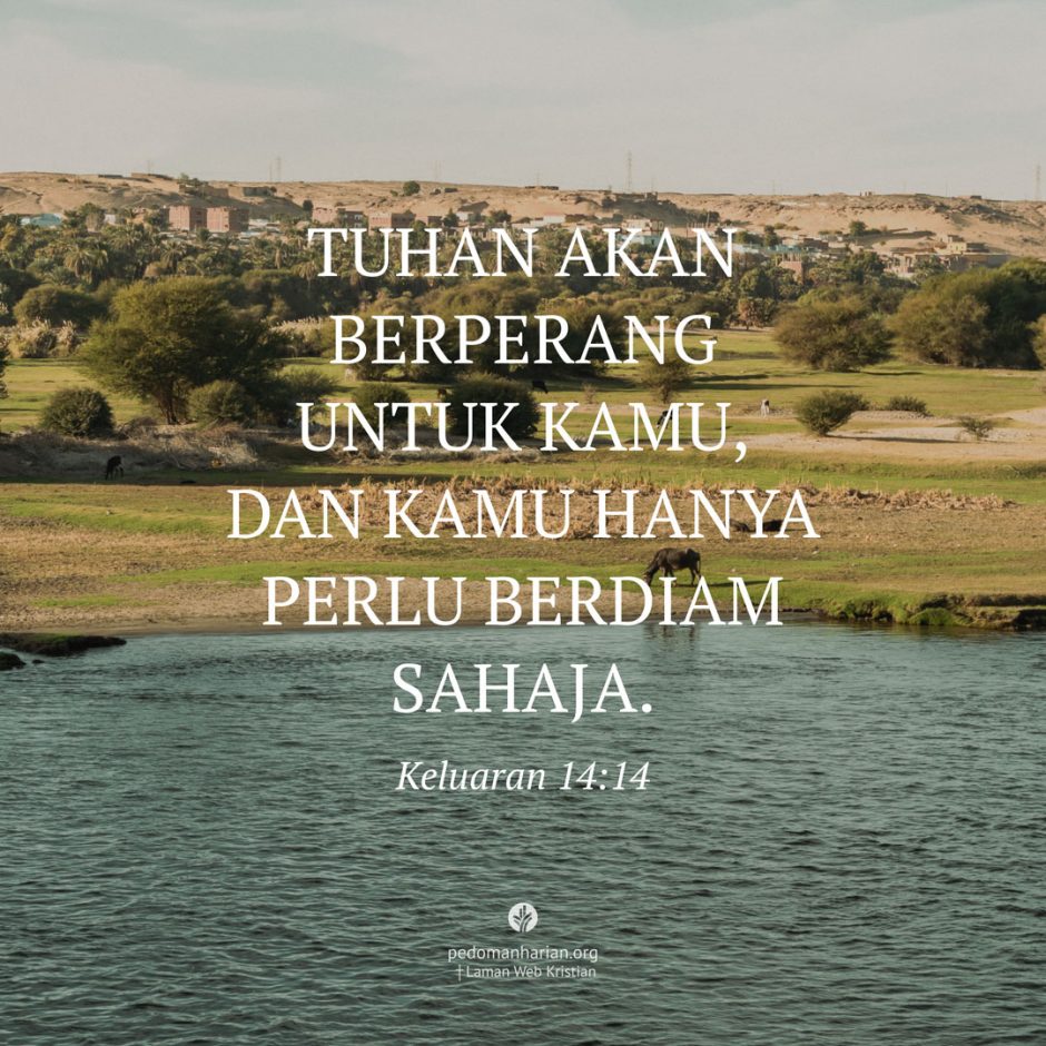 ms-odb-2026-08-24 ms-odb-2026-08-24