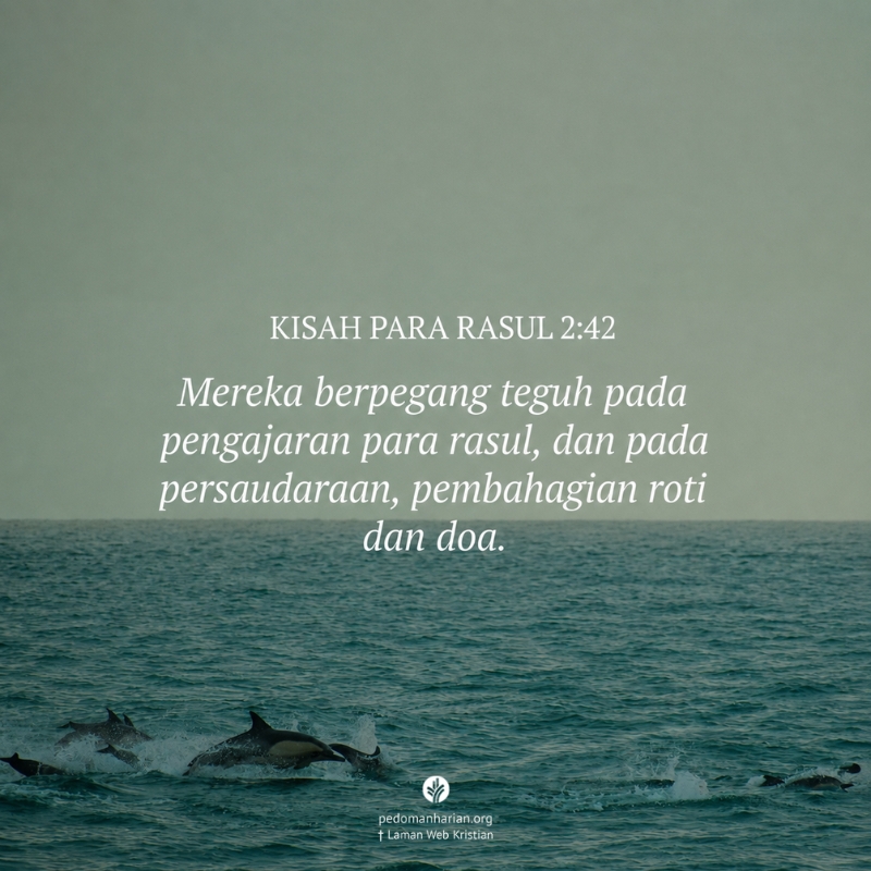 ms-odb-2026-09-01