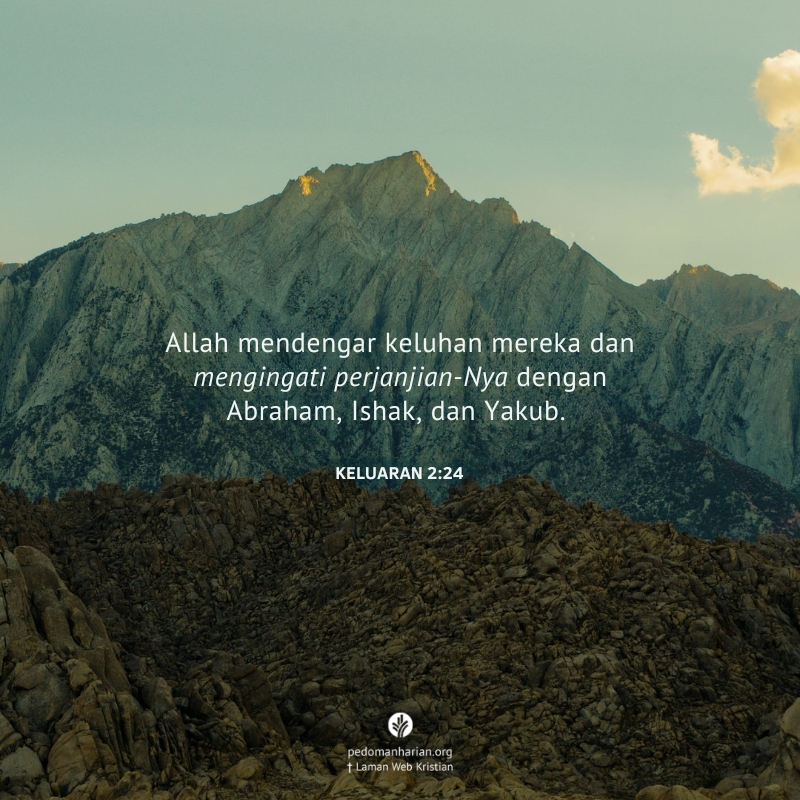 ms-odb-2026-09-14
