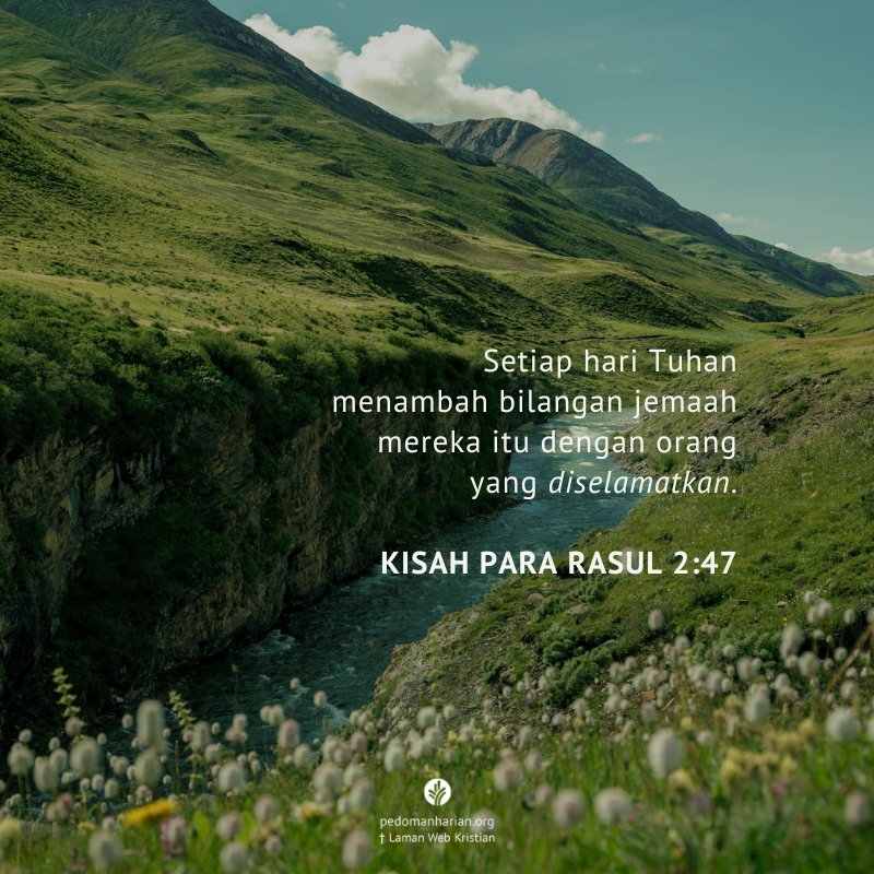 ms-odb-2026-09-22 ms-odb-2026-09-22